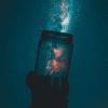 A Jar Full of Stars
