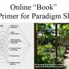 A Primer for Paradigm Shift
